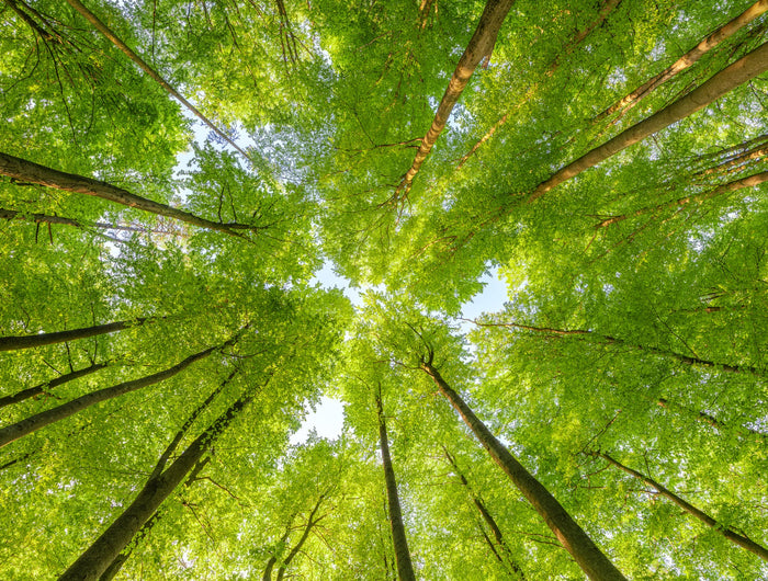 <h2><strong>Das zeichnet uns aus </strong></h2>